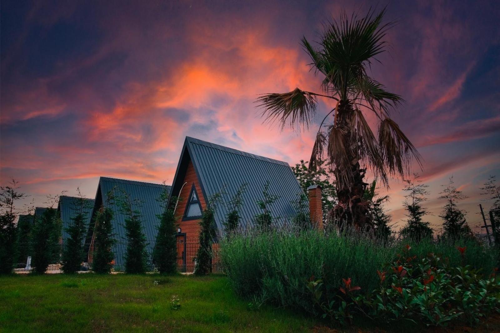 Ganita Travel Bungalov ترابزون المظهر الخارجي الصورة